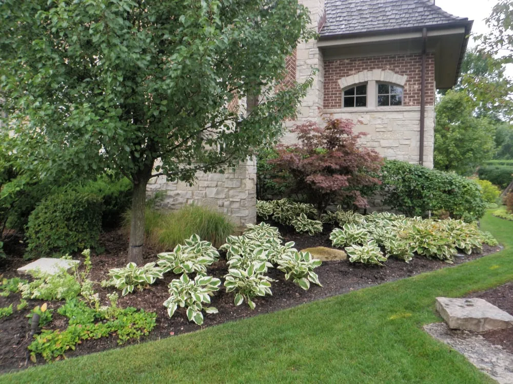 Top-rated landscaping services in Downers Grove, IL by CMS Landscapes