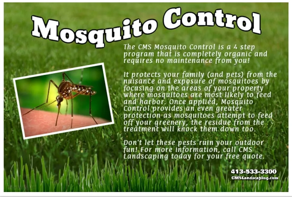 Reliable yard cleanup service for year-round maintenance in Holyoke, MA by CMS Landscaping