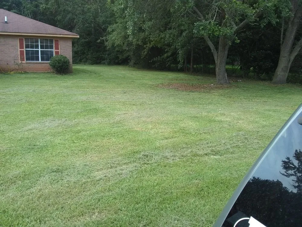 Custom lawn mowing service in Summerdale, AL - Cm's Lawn Maintenance