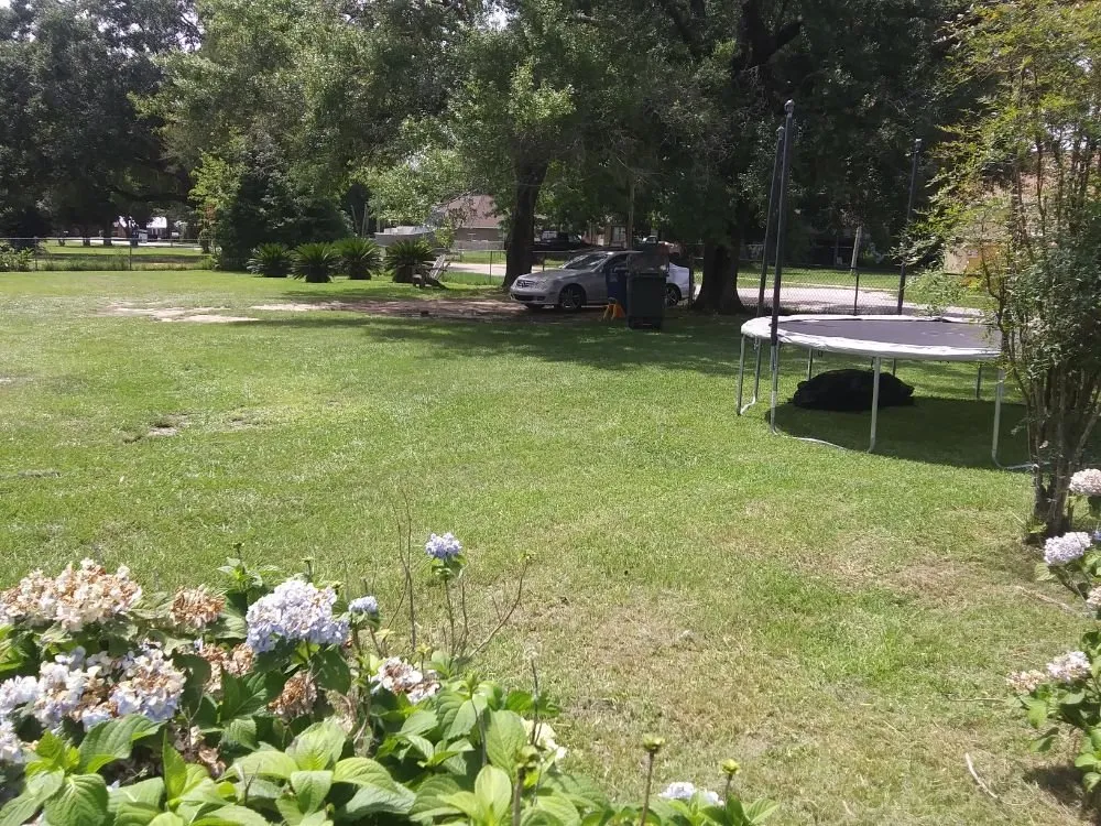 Expert residential landscaping experts serving Summerdale, AL - Cm's Lawn Maintenance