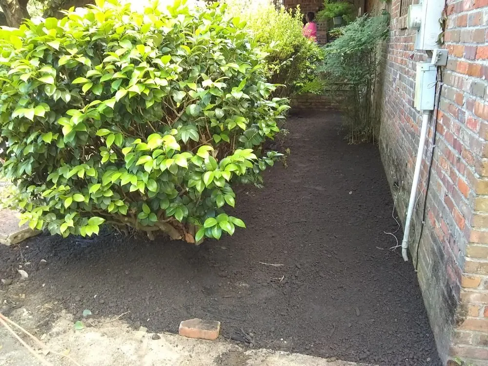 Affordable yard cleanup service for beautiful yards across Summerdale, AL - Cm's Lawn Maintenance