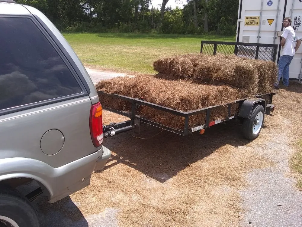 Reliable yard cleanup service in Summerdale, AL by Cm's Lawn Maintenance