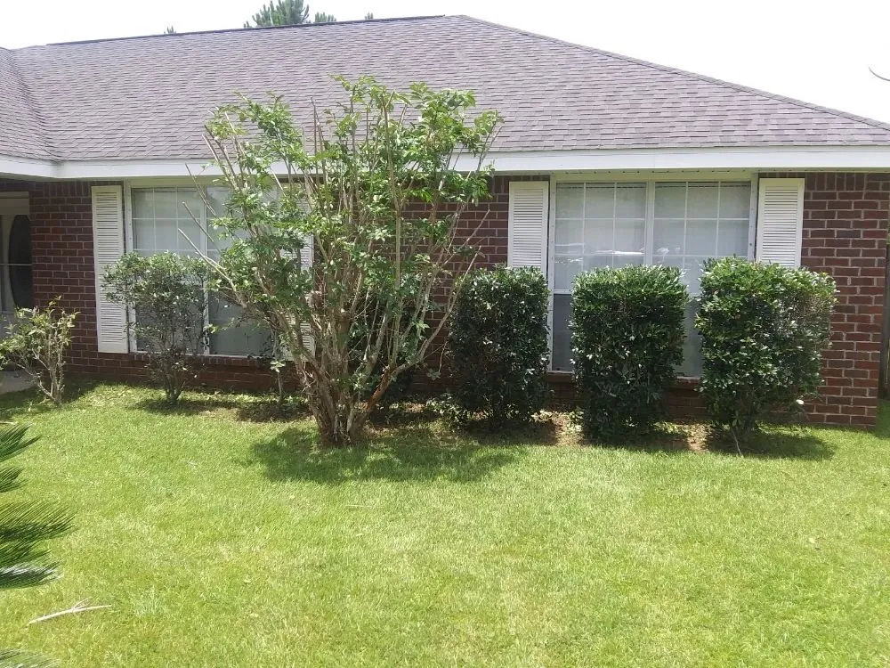 Reliable landscaping services in Summerdale, AL - Cm's Lawn Maintenance