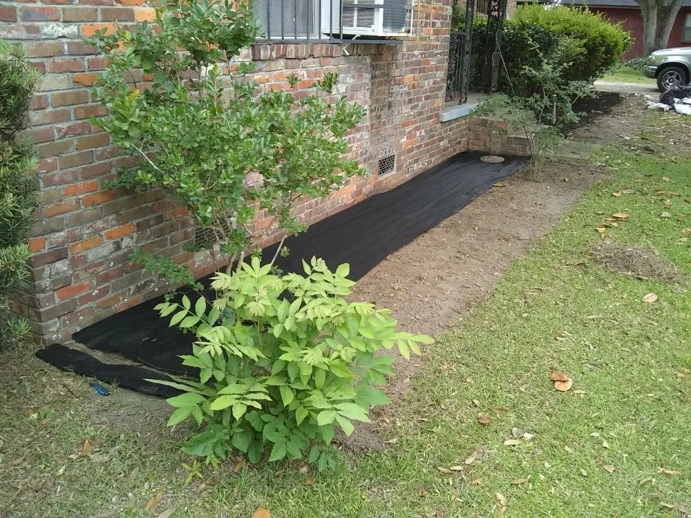 Expert yard maintenance for outdoor upgrades in Summerdale, AL by Cm's Lawn Maintenance