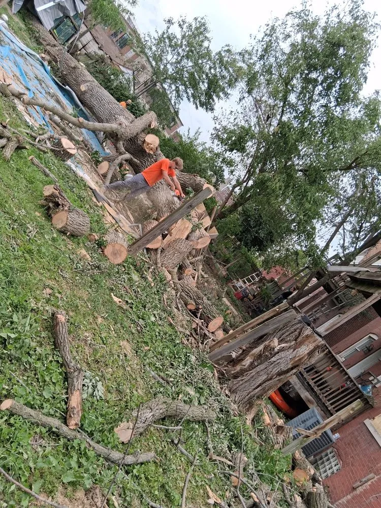 Expert yard maintenance in Manchester, MO by CMS Restoration