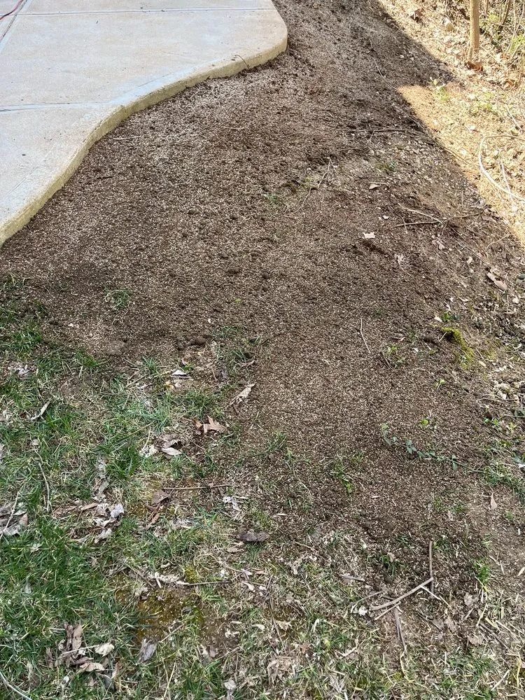 Affordable landscape installation for year-round maintenance across Manchester, MO - CMS Restoration