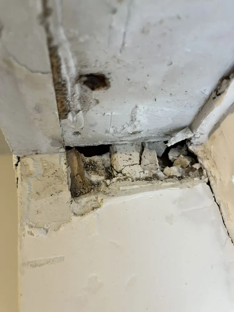 Trusted lawn care service in Manchester, MO by CMS Restoration