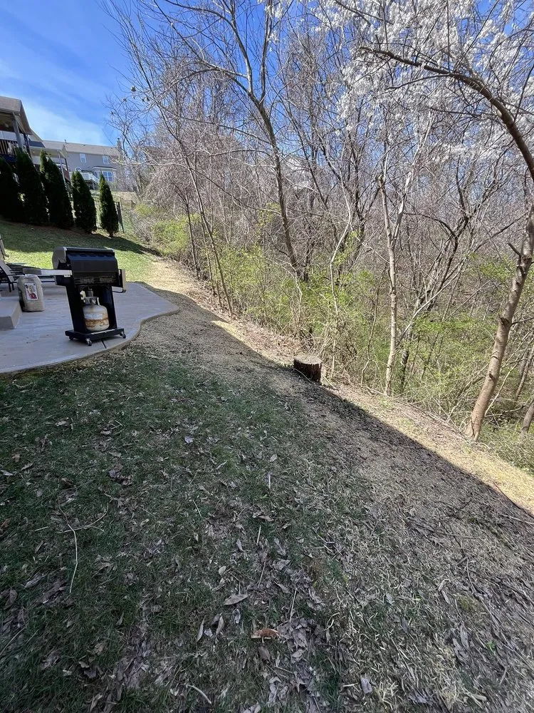 Top-rated residential landscaping in Manchester, MO by CMS Restoration