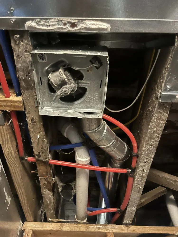 Trusted yard maintenance in Naples, FL by CMS Restoration