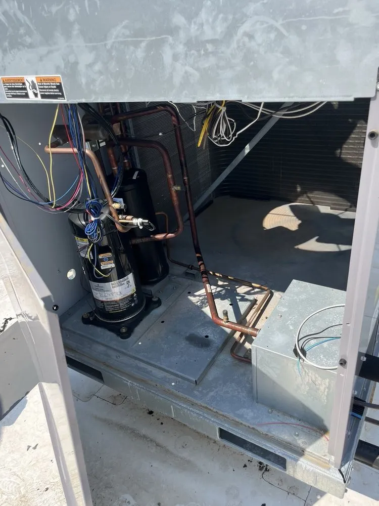 Professional yard cleanup service experts serving Naples, FL - CMS Restoration