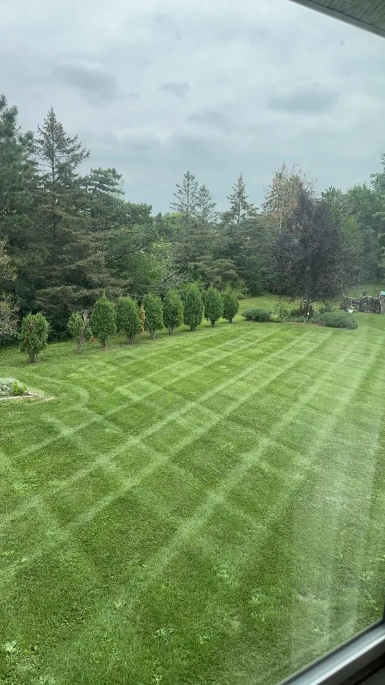 Professional lawn mowing service near you across Lakeville, MN - Cmservices