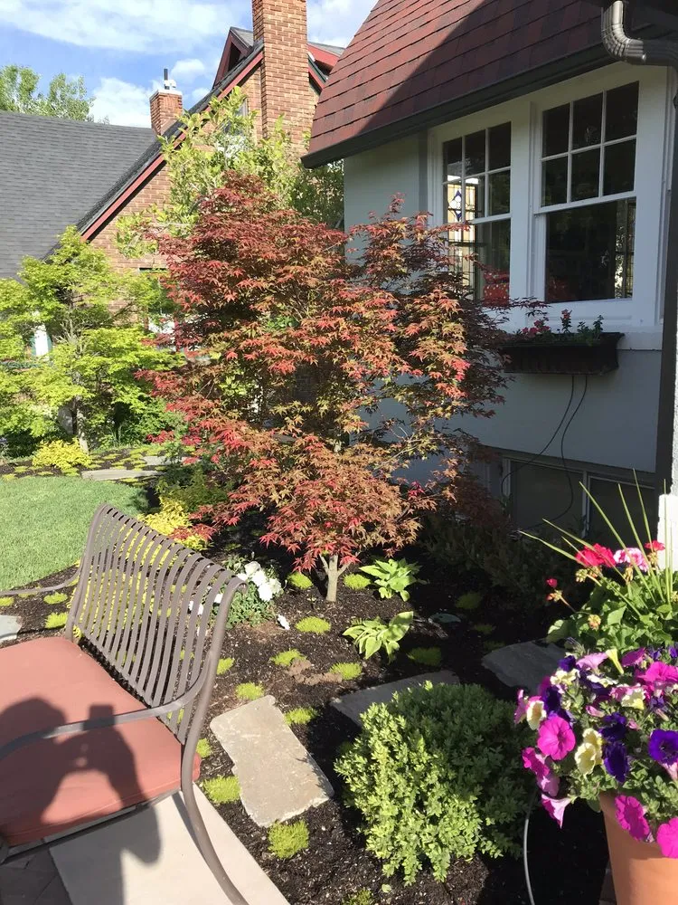 Affordable lawn care service in Salt Lake City, UT - CMT Landscape Design