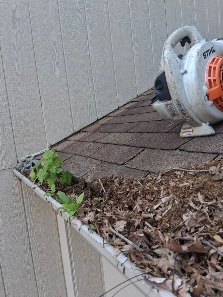 Affordable landscape design in Panama City, FL by CMT River Rock