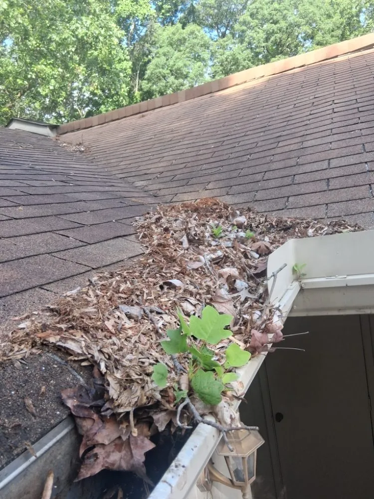 Custom residential landscaping for residential properties across Panama City, FL - CMT River Rock