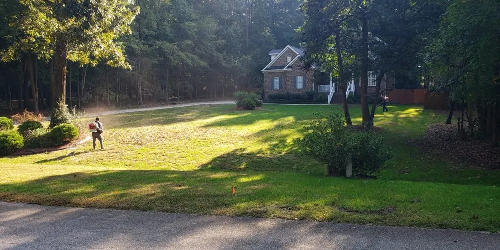 Reliable yard cleanup service in Durham, NC - CM&W Lawn Care