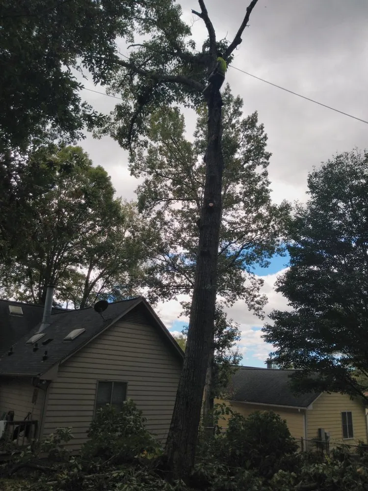 Custom landscape design for year-round maintenance in Durham, NC by CM&W Lawn Care