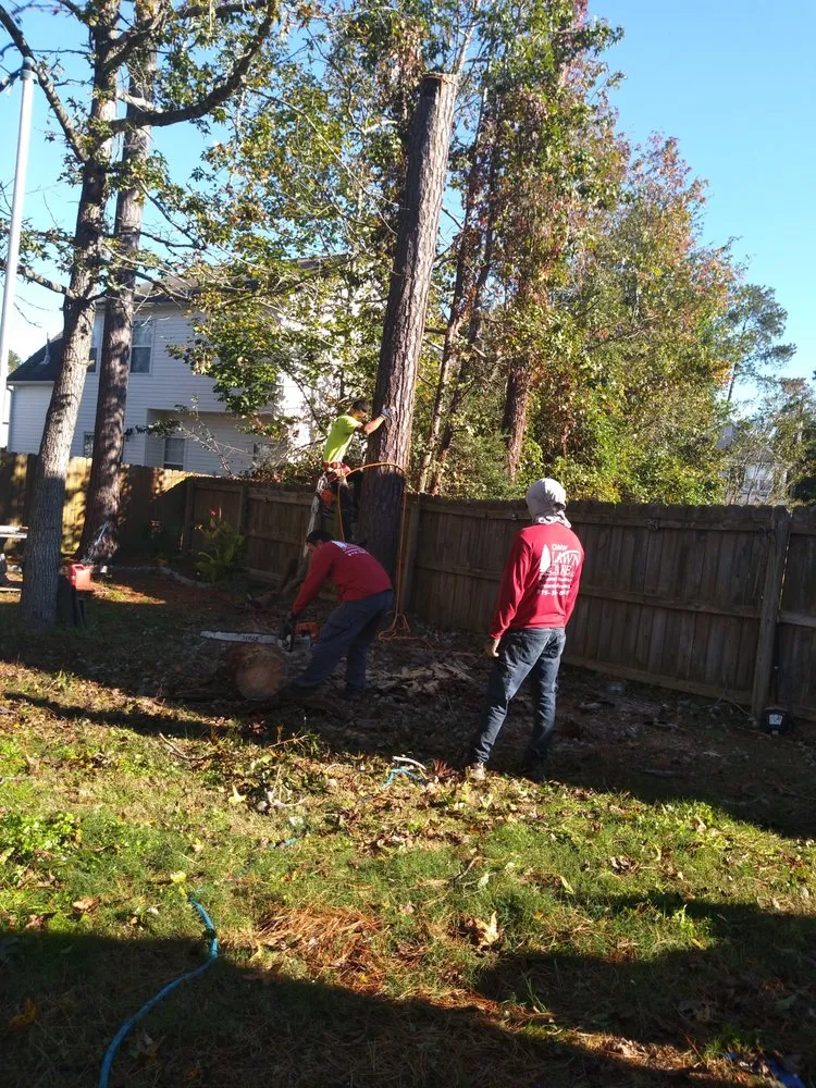 Custom garden landscaping near you in Durham, NC by CM&W Lawn Care