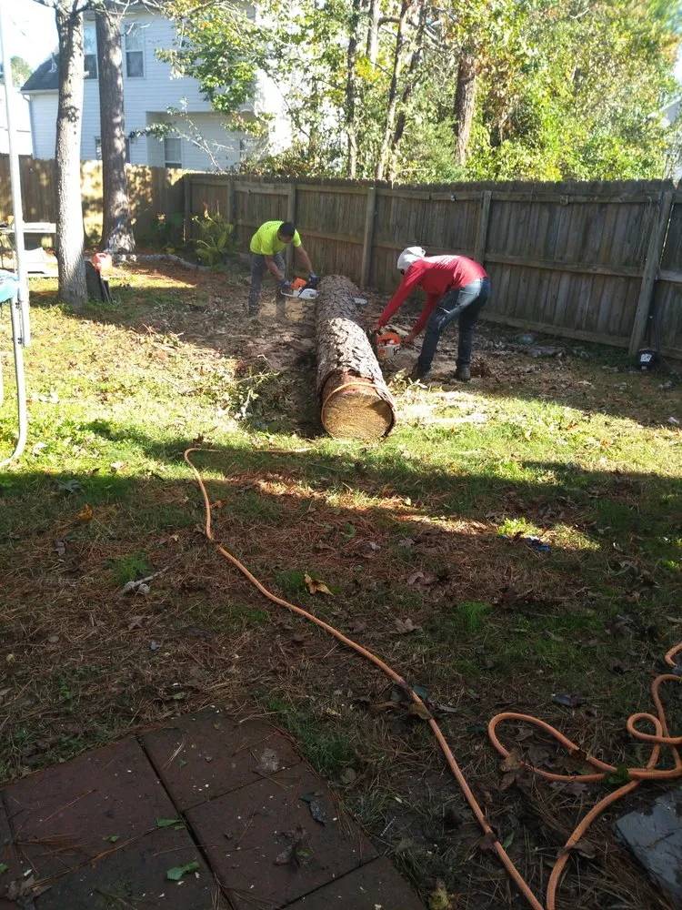 Custom landscape installation experts serving Durham, NC - CM&W Lawn Care