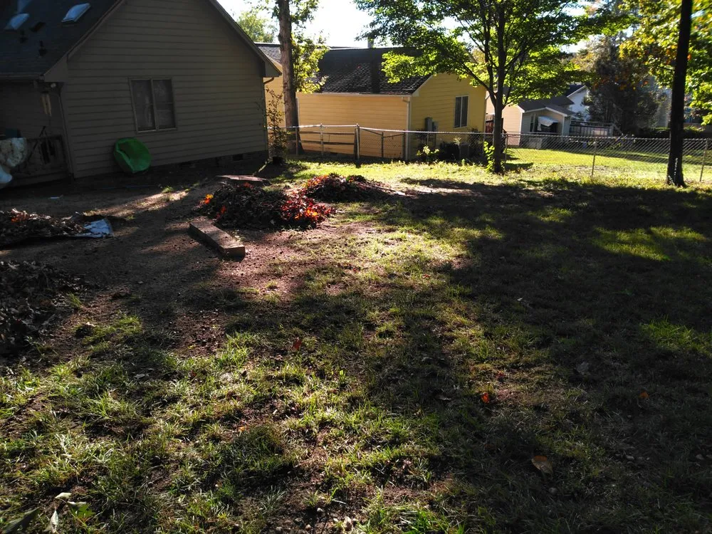 Reliable yard cleanup service in Durham, NC by CM&W Lawn Care