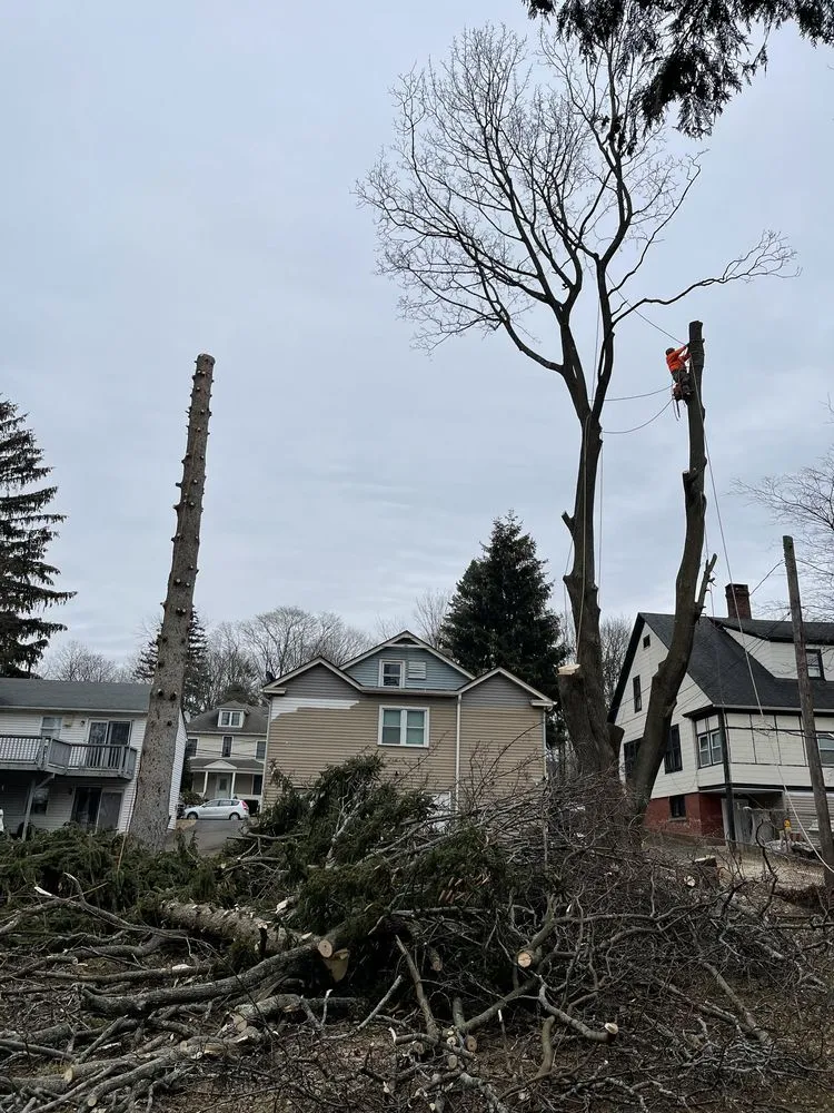 Trusted lawn mowing service for year-round maintenance across Hudson, MA - C&N General Services