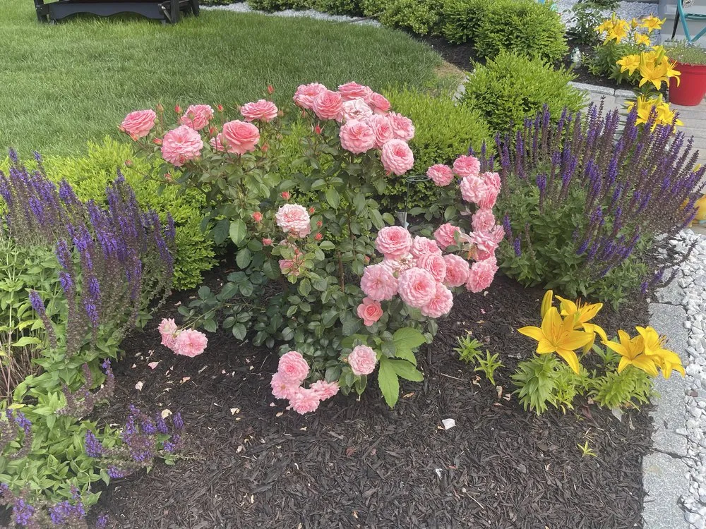 Expert residential landscaping for beautiful yards in Hudson, MA by C&N General Services