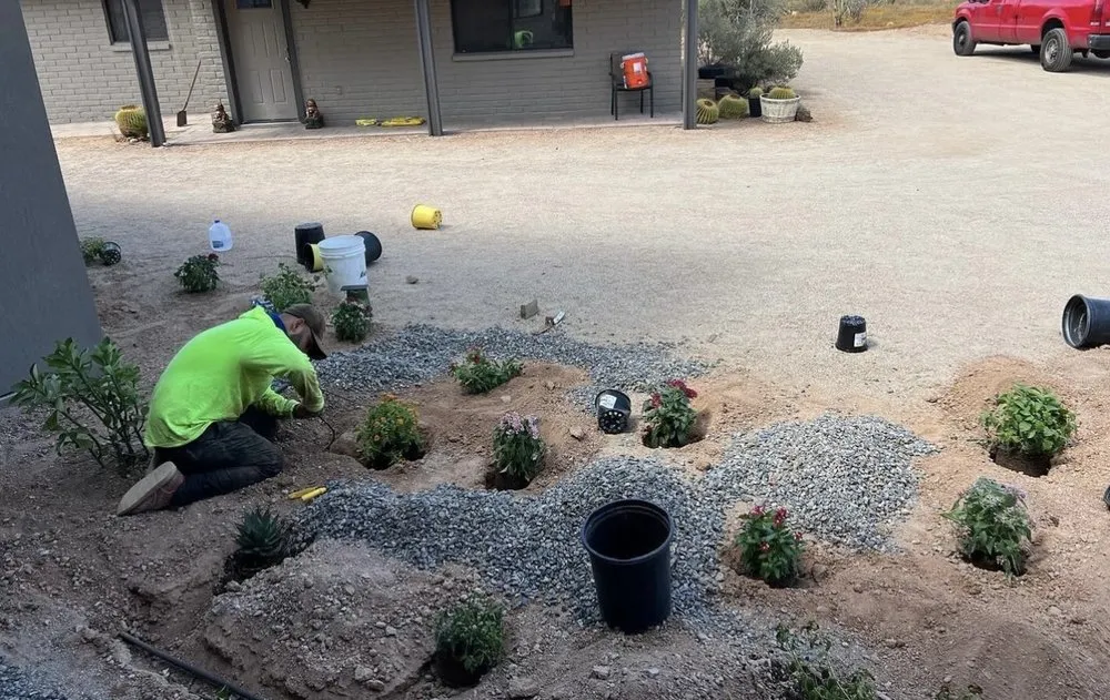 Trusted outdoor landscaping for year-round maintenance in Phoenix, AZ by CN Innovations Landscaping