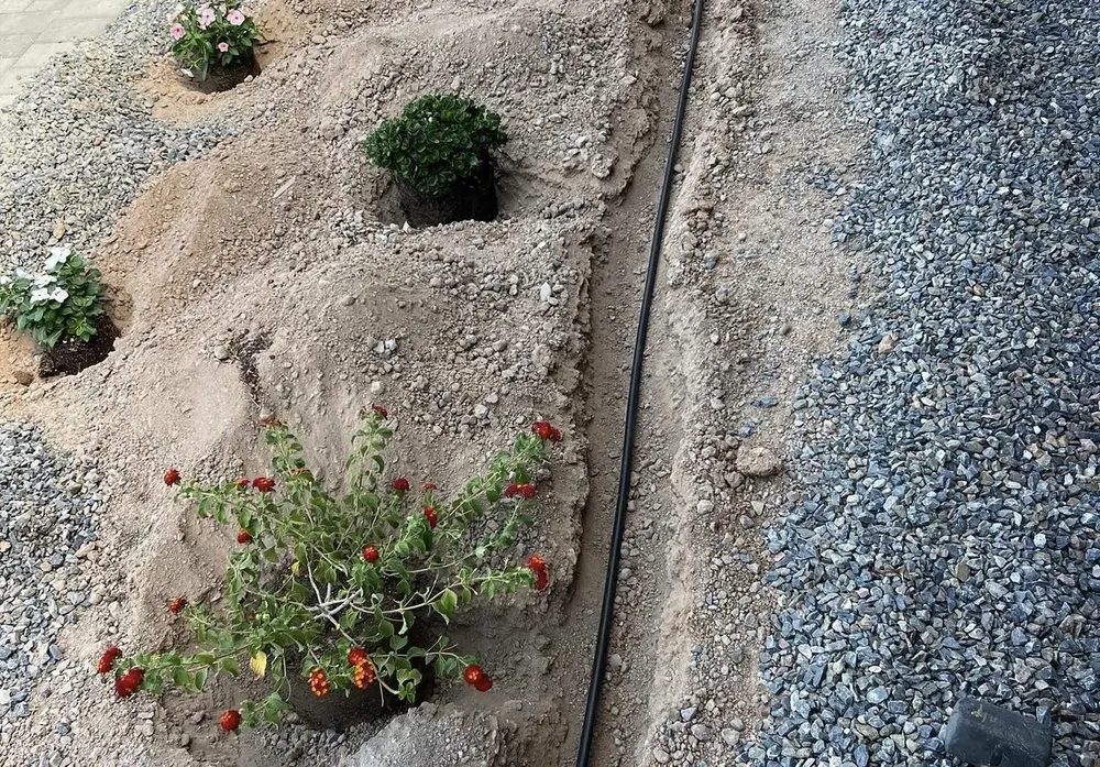 Top-rated landscape design in Phoenix, AZ by CN Innovations Landscaping