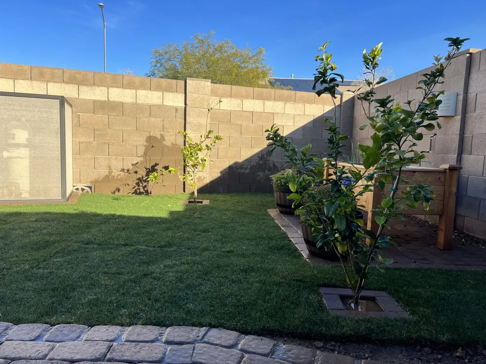 Expert yard maintenance in Phoenix, AZ by CN Innovations Landscaping