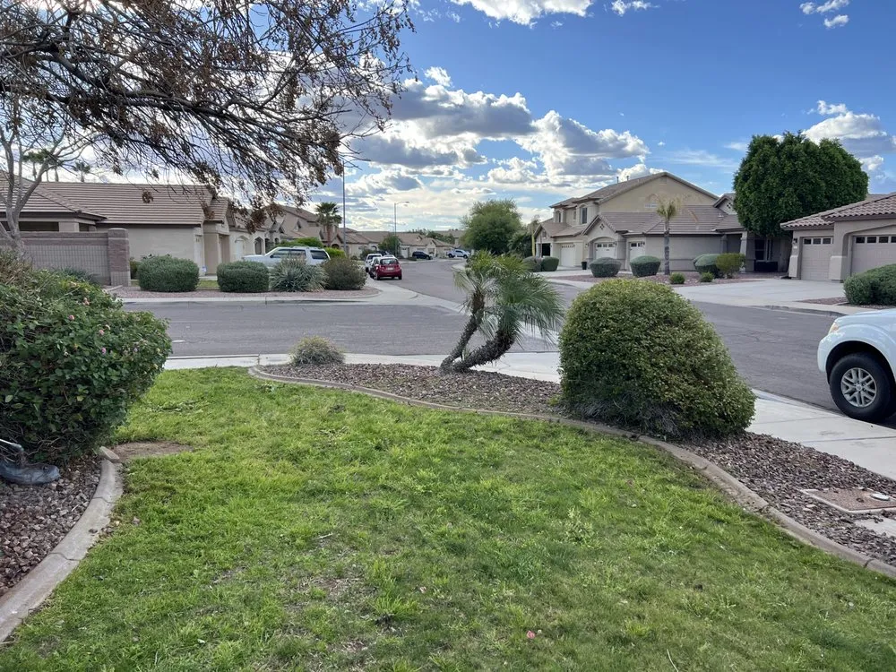 Reliable yard maintenance experts serving Phoenix, AZ - CN Innovations Landscaping