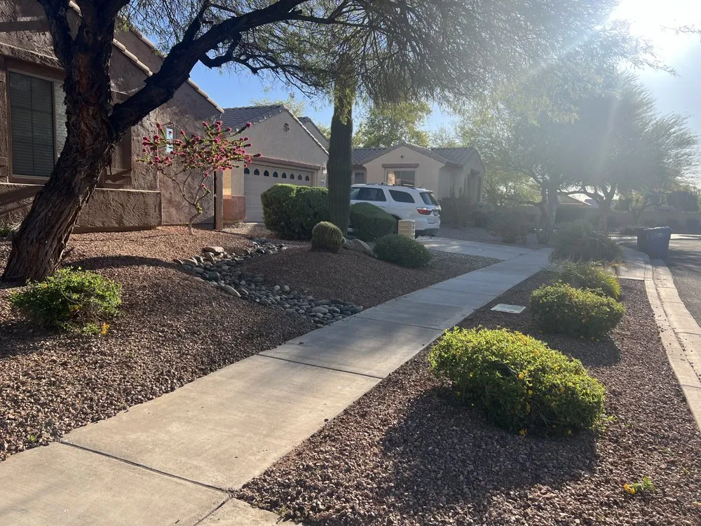 Professional landscape design in Phoenix, AZ by CN Innovations Landscaping