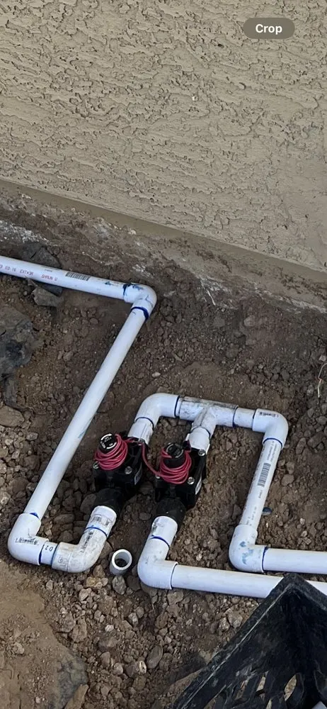 Professional yard maintenance experts serving Phoenix, AZ - CN Innovations Landscaping