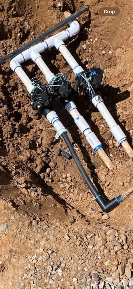 Professional landscaping services experts serving Phoenix, AZ - CN Innovations Landscaping