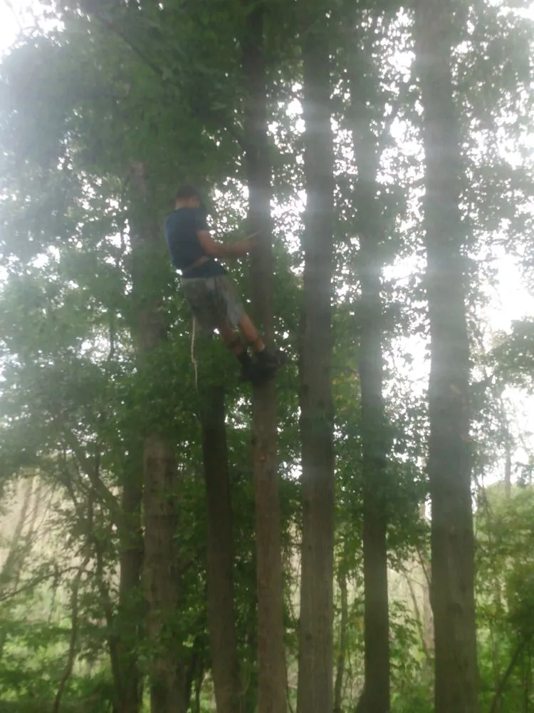 Reliable landscape installation in Como, TX - C&N Landscaping And Dirt Work
