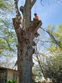 Top-rated lawn mowing service in Como, TX - C&N Landscaping And Dirt Work