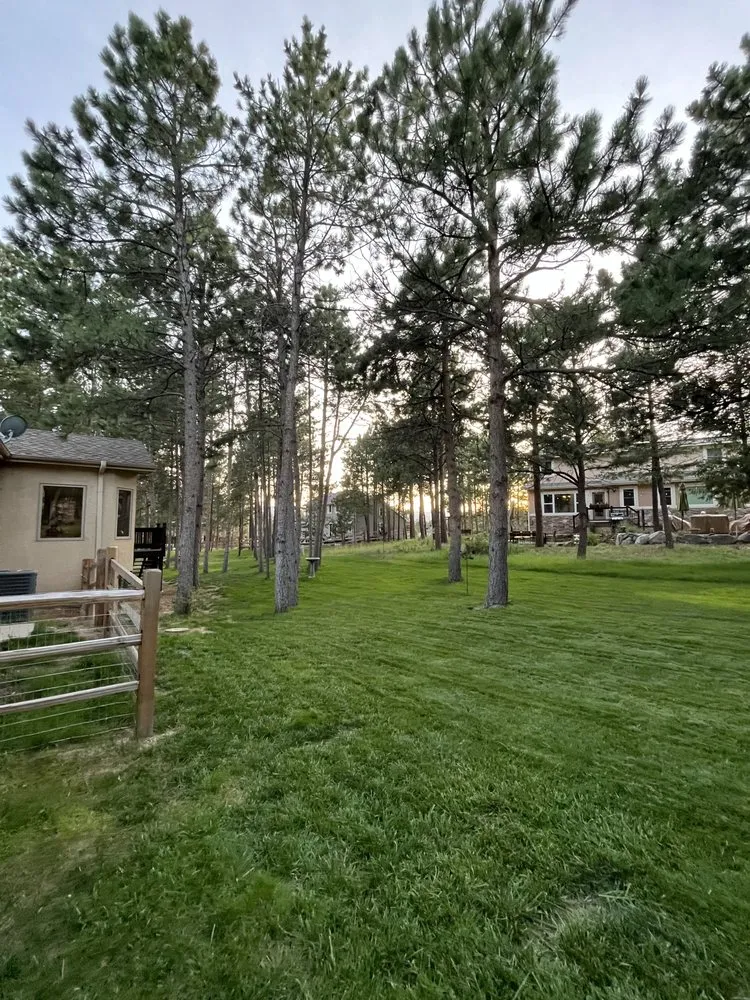 Custom lawn mowing service in Colorado Springs, CO by CN Landscaping