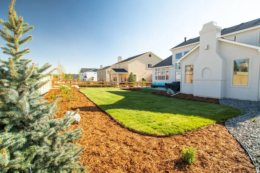 Top-rated landscape installation for homes across Colorado Springs, CO - CN Landscaping