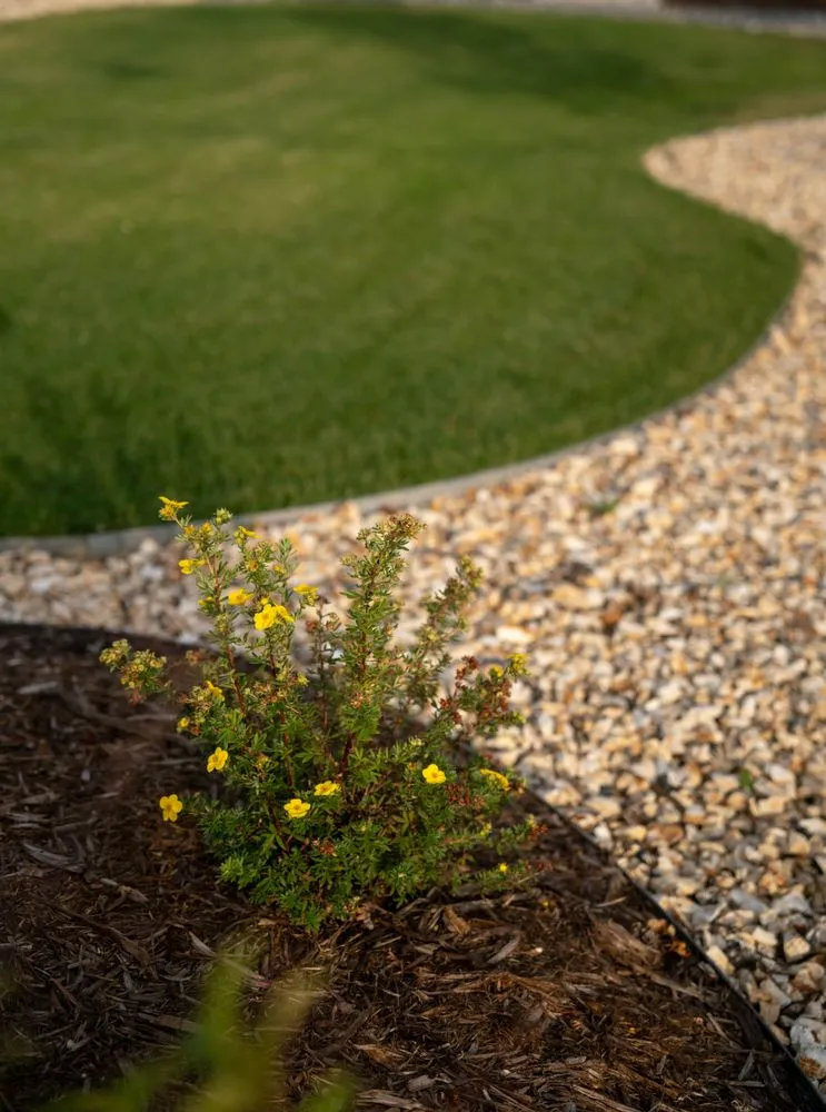 Reliable yard maintenance for beautiful yards in Colorado Springs, CO by CN Landscaping
