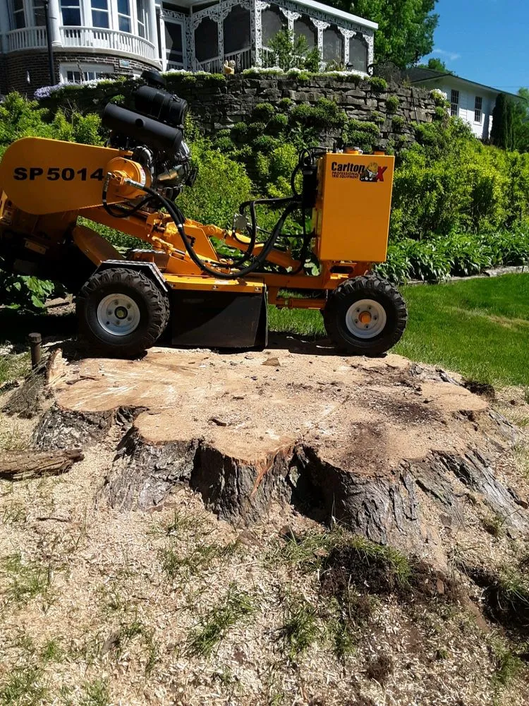 Trusted residential landscaping for outdoor upgrades in Stevens Point, WI by CN Lawn Care & Stump Grinding