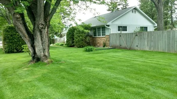 CN Lawn Care & Stump Grinding