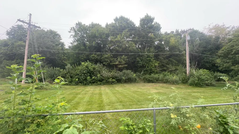 Reliable landscape design in Manhattan, KS by CN Lawn Care