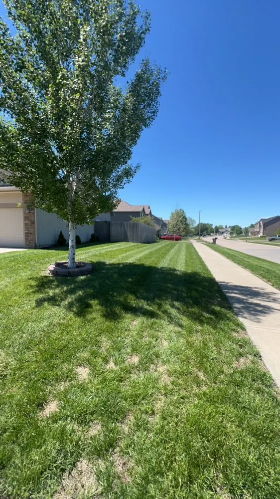 Local landscaping services experts serving Manhattan, KS - CN Lawn Care