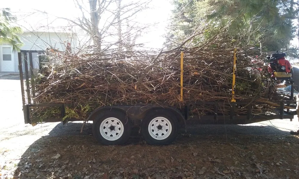 Expert lawn care service in Three Rivers, MI by C&N Lawn Care