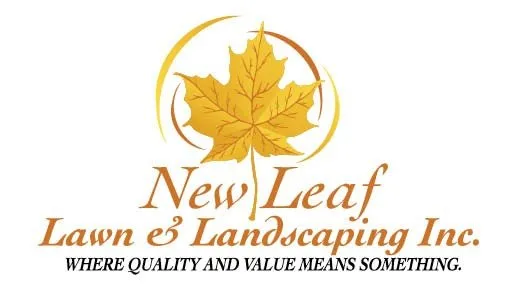 Professional lawn care service for outdoor upgrades across Antioch, TN - C&N Lawn Service