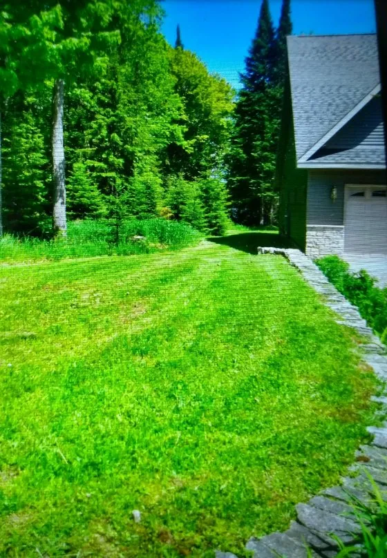 Affordable yard cleanup service for beautiful yards in Dodgeville, MI by C&N ODD JOBS LAWN AND SNOW