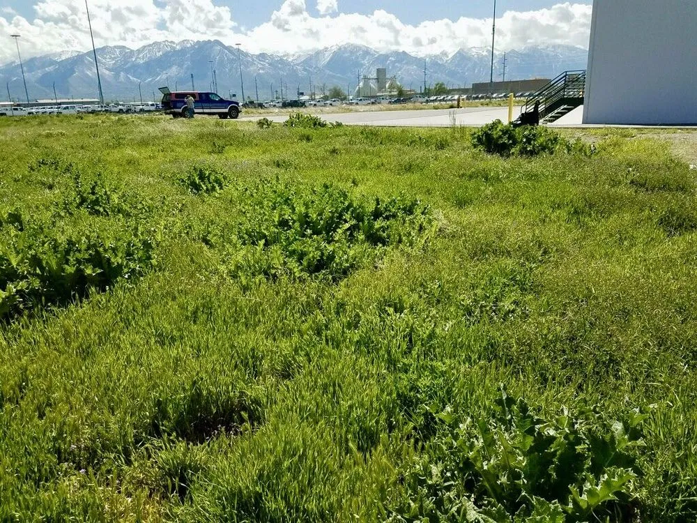 Professional outdoor landscaping for residential properties across Bluffdale, UT - CN Property Maintenance