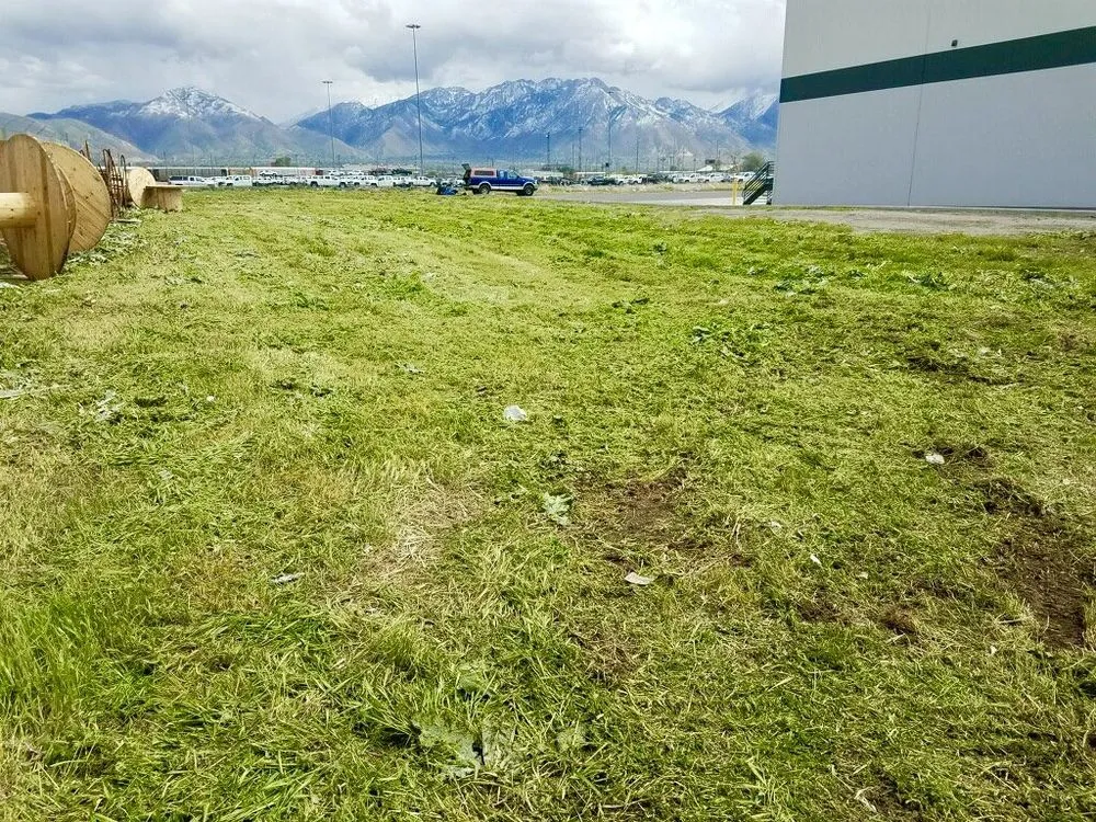 Reliable yard cleanup service for outdoor upgrades across Bluffdale, UT - CN Property Maintenance