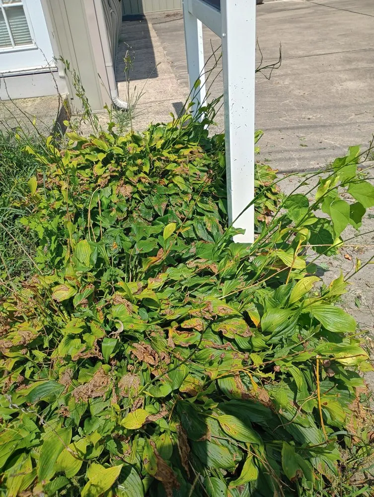 Trusted landscape installation in Thornville, OH - C&N Property Maintenance