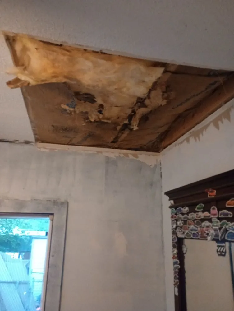 Professional yard maintenance in Thornville, OH by C&N Property Maintenance