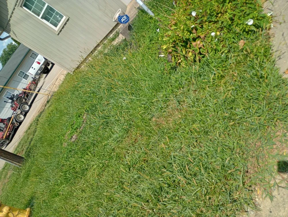 Custom landscaping services in Thornville, OH - C&N Property Maintenance