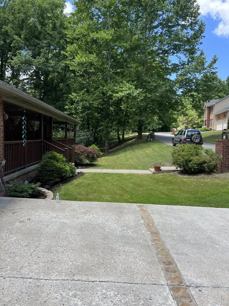 Professional yard cleanup service in South Charleston, WV by CNA Landscapes